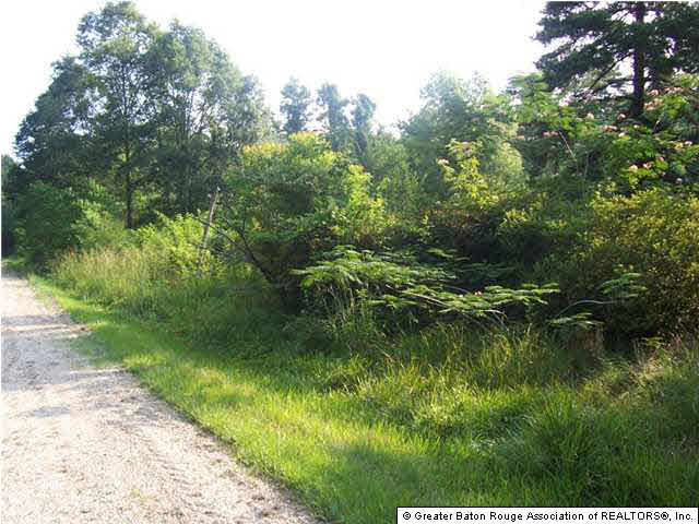 33850 Kiss Road Walker, LA 70785 - Photo 2 of 3 Gallery Image 2