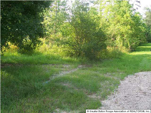 33850 Kiss Road Walker, LA 70785 - Photo 3 of 3 Gallery Image 3