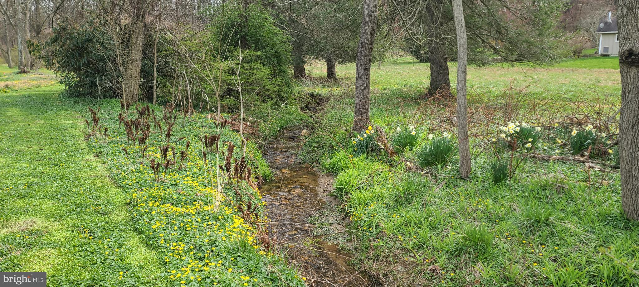 12525 Garrison Forest Road Owings Mills, MD 21117 - Photo 39 of 40 Native habitats abound
