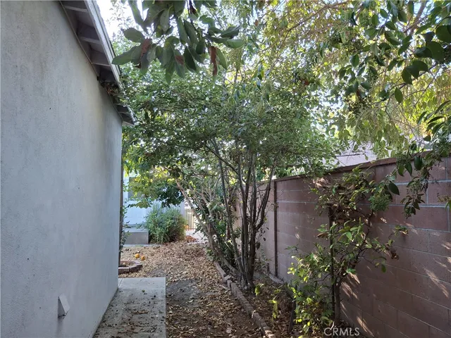 a view of a yard with plants and trees
