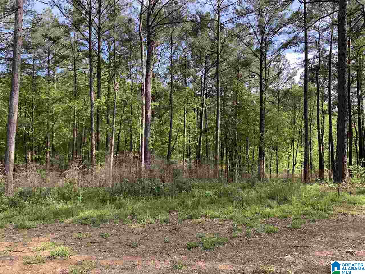 1585 Rex Lake Road, Unit 1585 Leeds, AL 35094 - Photo 10 of 16