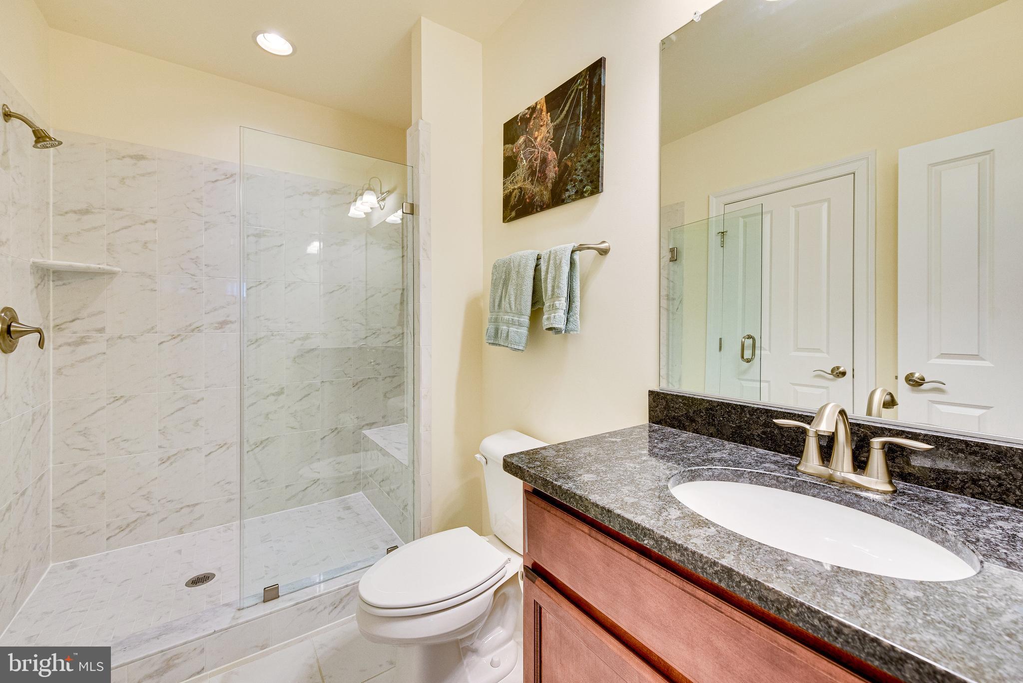 1705 Besley Road Vienna, VA 22182 - Photo 53 of 64