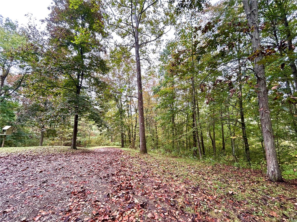 14040 T-Ridge Road Caldwell, OH 43724 - Photo 24 of 45 Gallery Image 24