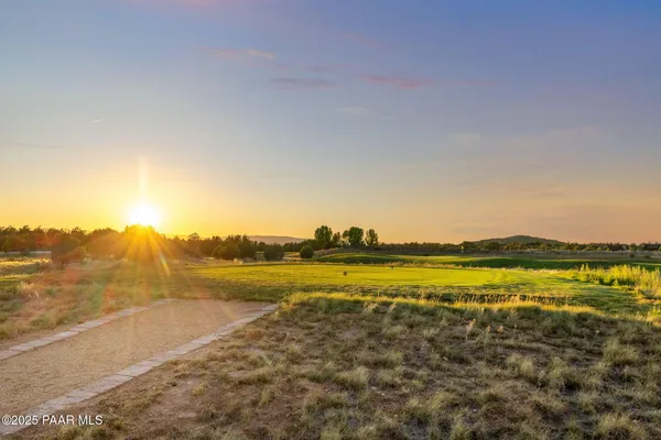 a view of a street with a large trees