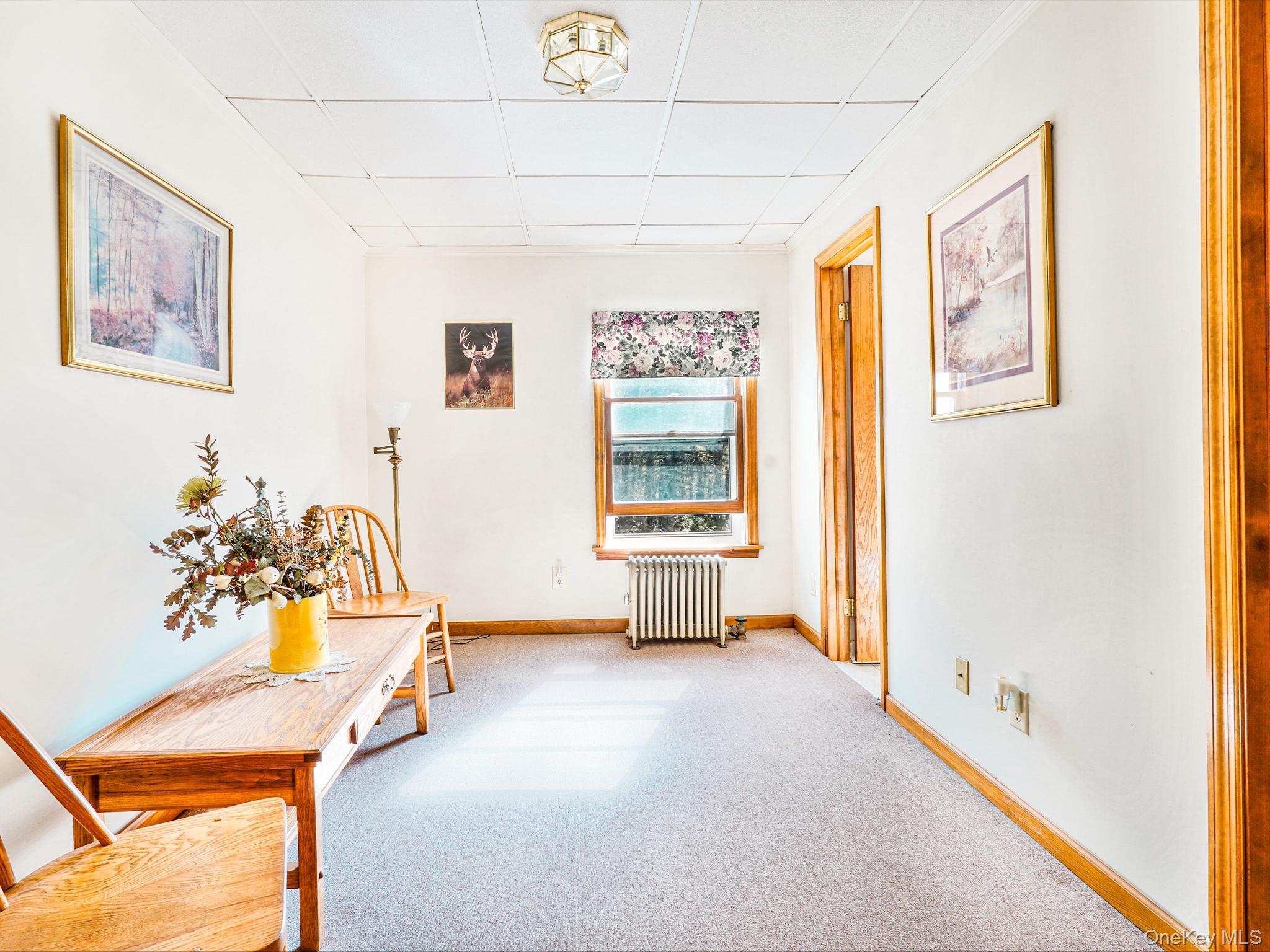 2182 Old Rte 17 Roscoe, NY 12776 - Photo 10 of 32 Hallway with radiator, a drop ceiling, carpet flooring, and baseboards