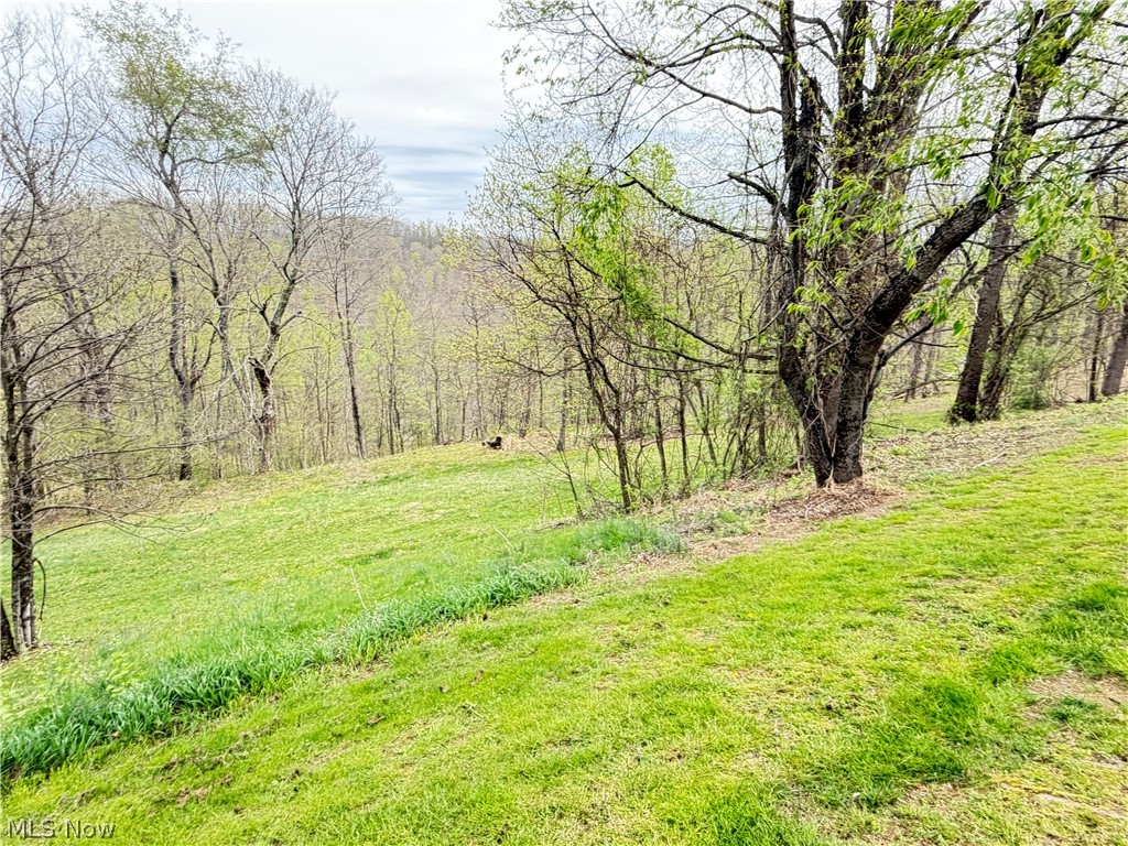 441 Tower Road Elizabeth, WV 26143 - Photo 6 of 28
