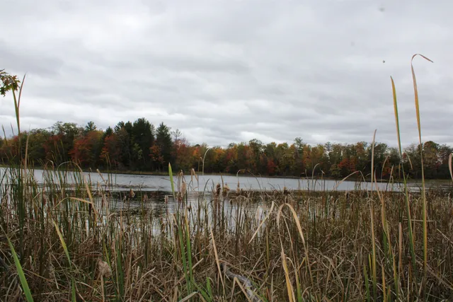 $109,900 | Island Lake Rd Mountain, Unit 2, Mountain, WI 54149