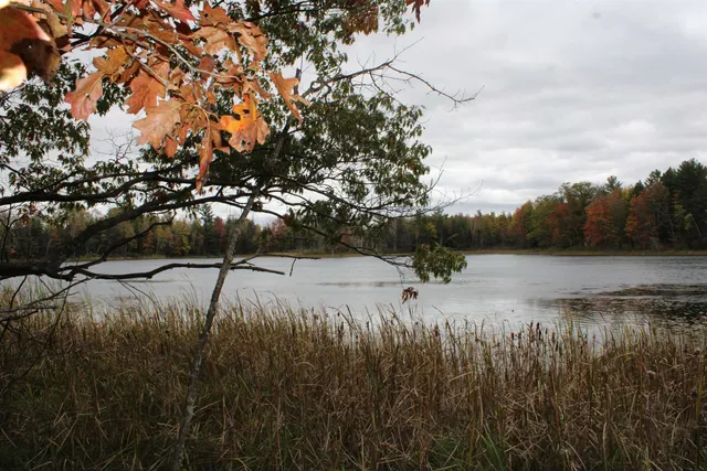 $109,900 | Island Lake Rd Mountain, Unit 2, Mountain, WI 54149