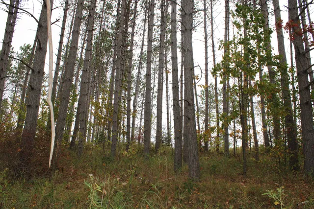 $109,900 | Island Lake Rd Mountain, Unit 2, Mountain, WI 54149