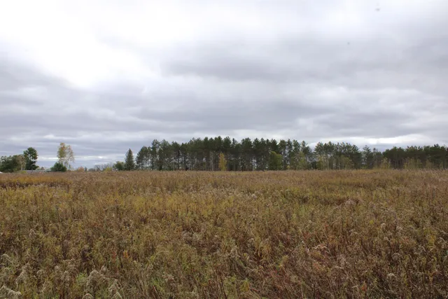 $109,900 | Island Lake Rd Mountain, Unit 2, Mountain, WI 54149