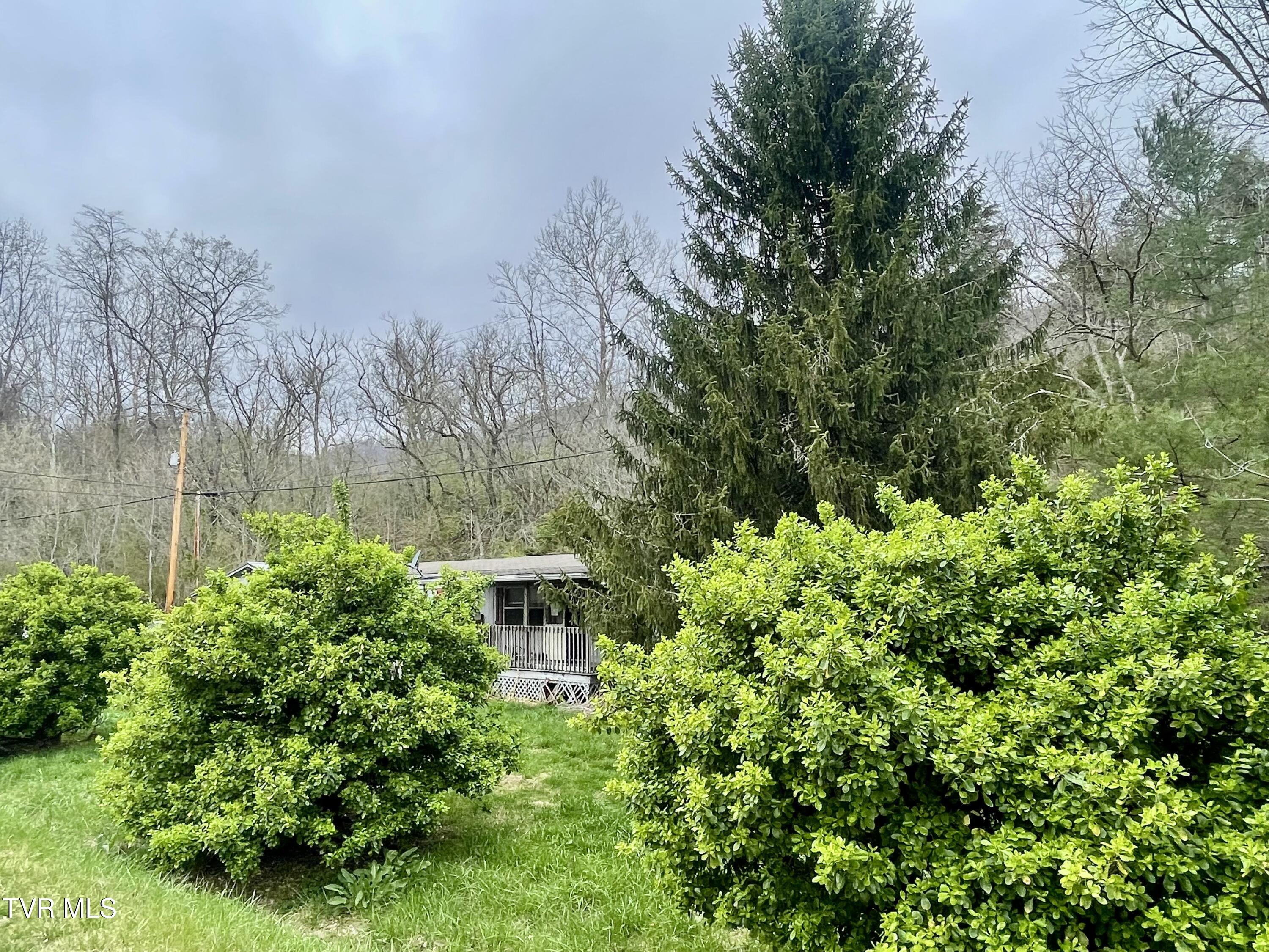 6060 Daniel Boone Road Gate City, VA 24251 - Photo 18 of 22 IMG_7237