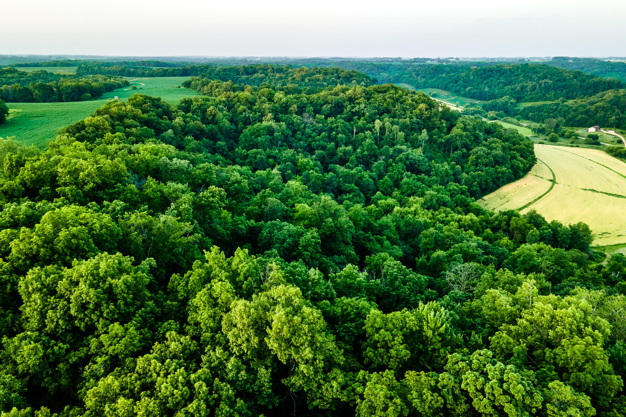 Lt0 Smyth Hollow Road Hillpoint, WI 53937 - Photo 40 of 45 Richland-County-WI-61-Acres-Land-For-Sal