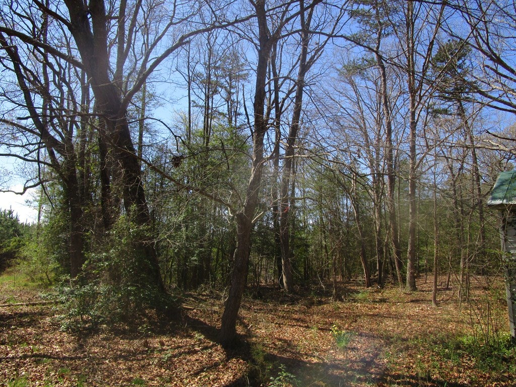 619 Shining Creek Road Alberta, VA 23821 - Photo 3 of 14 Gallery Image 3