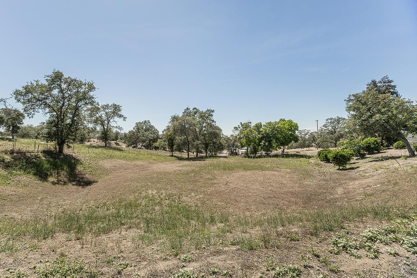 14815 Garlock Lane Prather, CA 93651 - Photo 47 of 80 a view of a field with trees in background