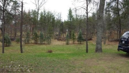 1460 West Pine Tree Road Luther, MI 49656 - Photo 7 of 8 Additional Photo