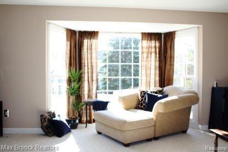 1430 Crescent Lane, Unit 323 Rochester, MI 48306 - Photo 11 of 25 Great Light From Bay Window
