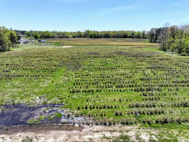 $45,000 | Vl Vl Benny Court, Unit PARCEL 4, South Haven, MI 49090