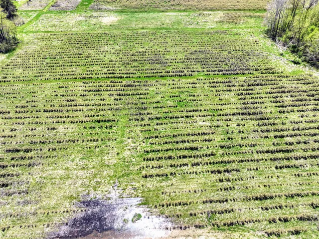 $45,000 | Vl Vl Benny Court, Unit PARCEL 4, South Haven, MI 49090