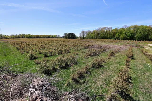 $45,000 | Vl Vl Benny Court, Unit PARCEL 4, South Haven, MI 49090