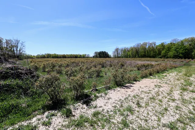 $45,000 | Vl Vl Benny Court, Unit PARCEL 4, South Haven, MI 49090