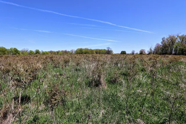 $45,000 | Vl Vl Benny Court, Unit PARCEL 4, South Haven, MI 49090