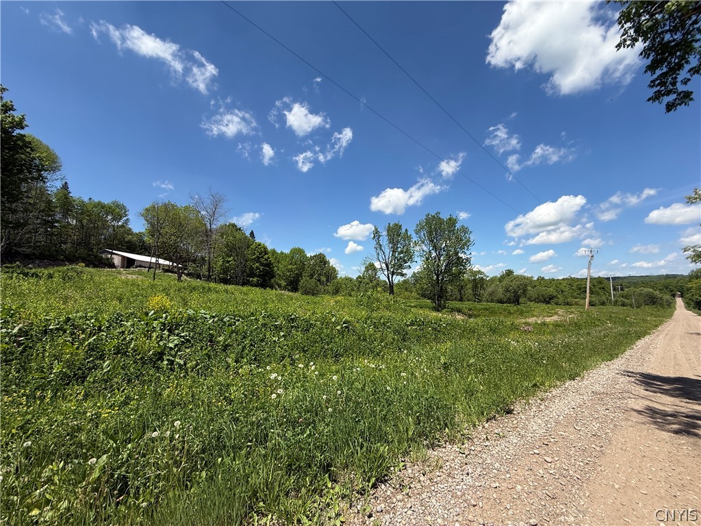 4317 Moore Road West Turin, NY 13473 - Photo 2 of 25