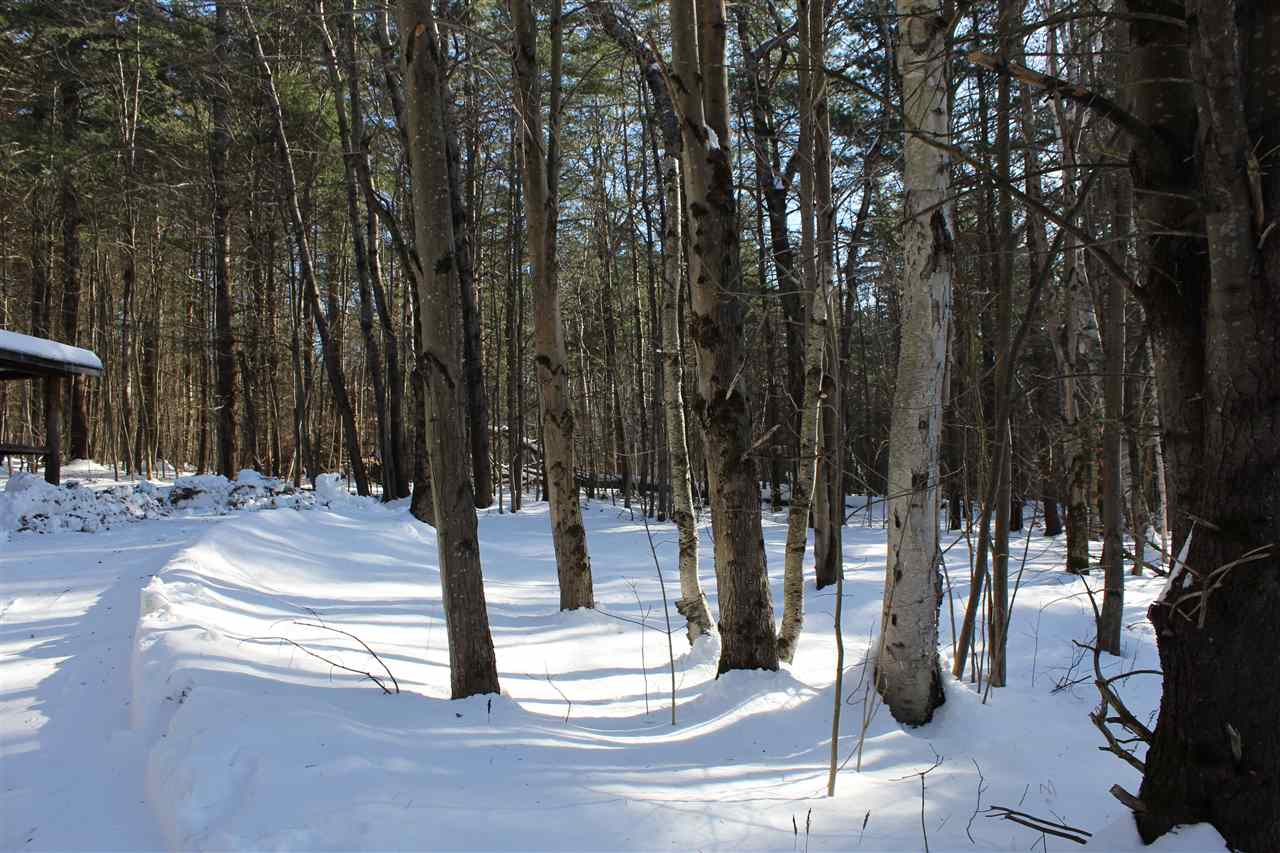 809 Sawmill Road Wardsboro, VT 05360 - Photo 19 of 21 Gallery Image 19