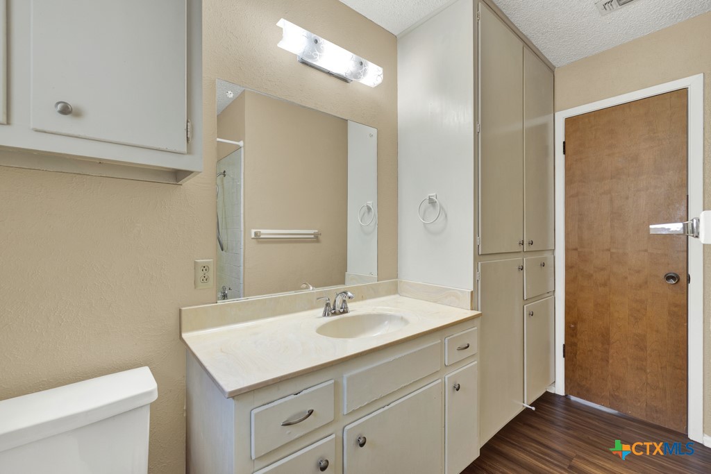 217 Gruene Road New Braunfels, TX 78130 - Photo 17 of 25 a bathroom with a sink a toilet a shower and a mirror