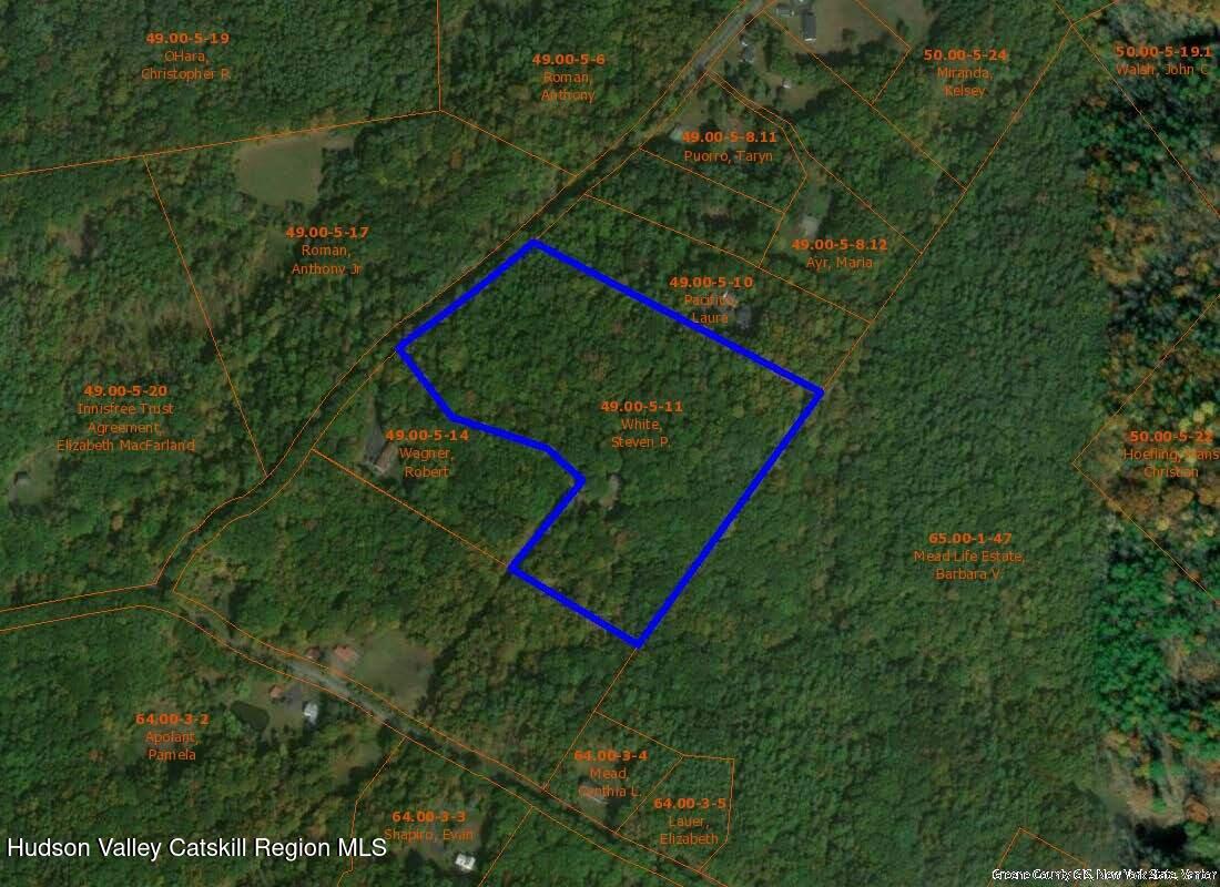 199 Paddock Road Cairo, NY 12413 - Photo 101 of 101 9zzzn