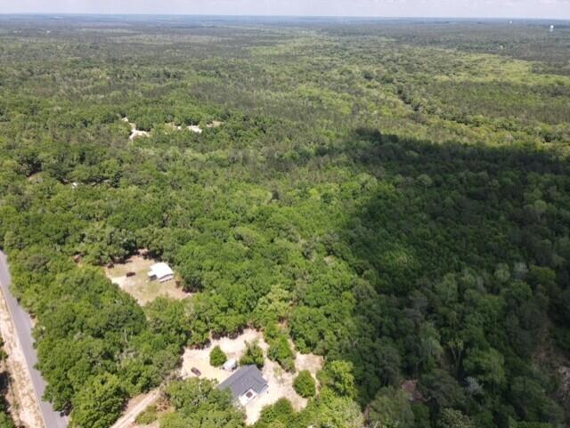 Tbd 37-ac Old River Road Baker, FL 32531 - Photo 30 of 41 a view of a city with lush green forest