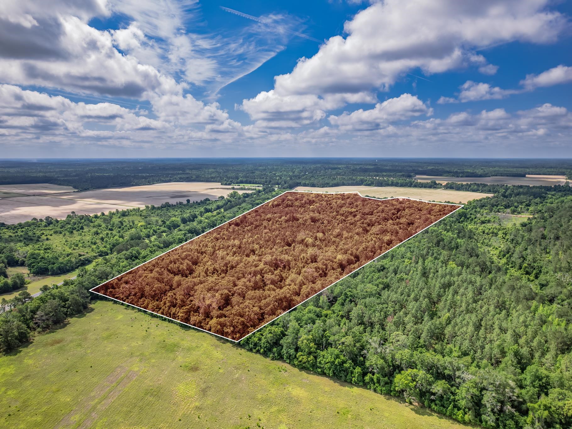 Xx Xx Hough Farm Road Quincy, FL 32351 - Photo 12 of 13