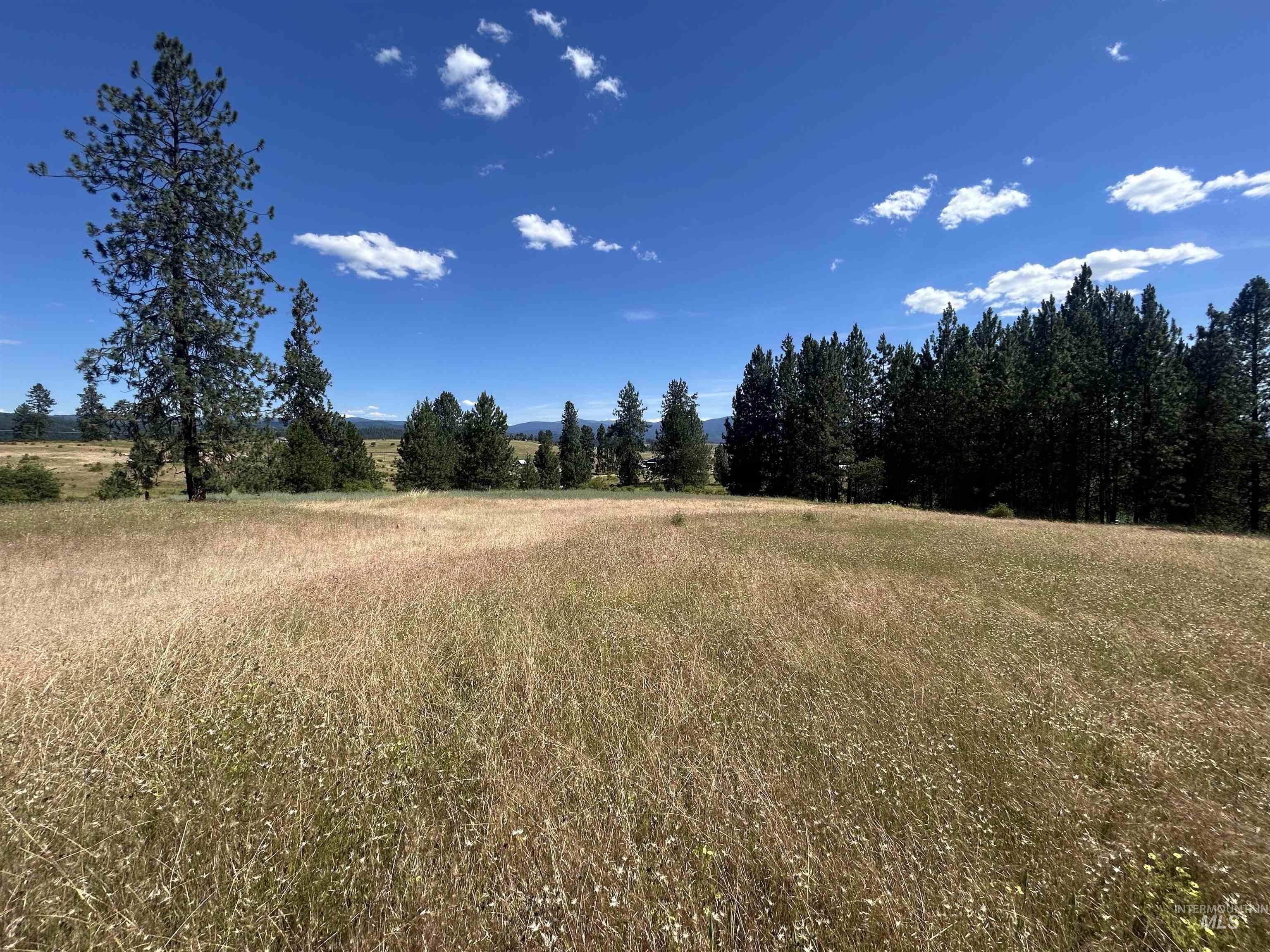 Tbd Lot 2 Tbd Road Kooskia, ID 83539 - Photo 5 of 15