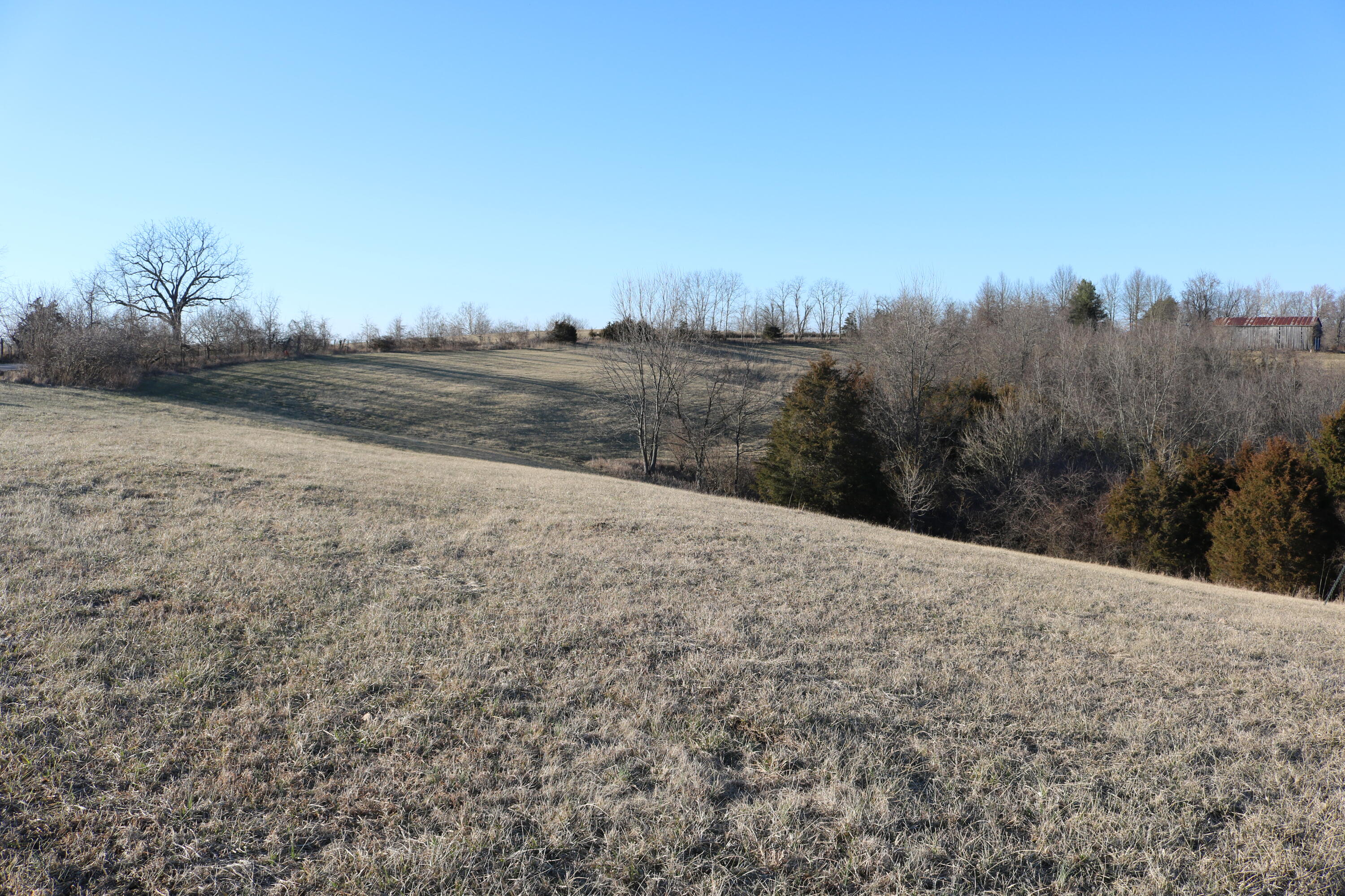 5.21-acres Vallandingham Road Dry Ridge, KY 41035 - Photo 10 of 10