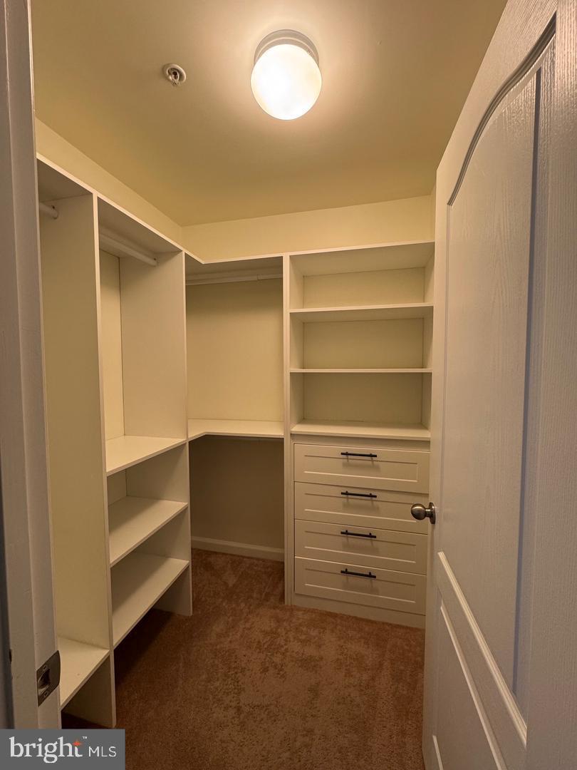 7925 Alchemy Way Elkridge, MD 21075 - Photo 7 of 46 a view of walk in closet