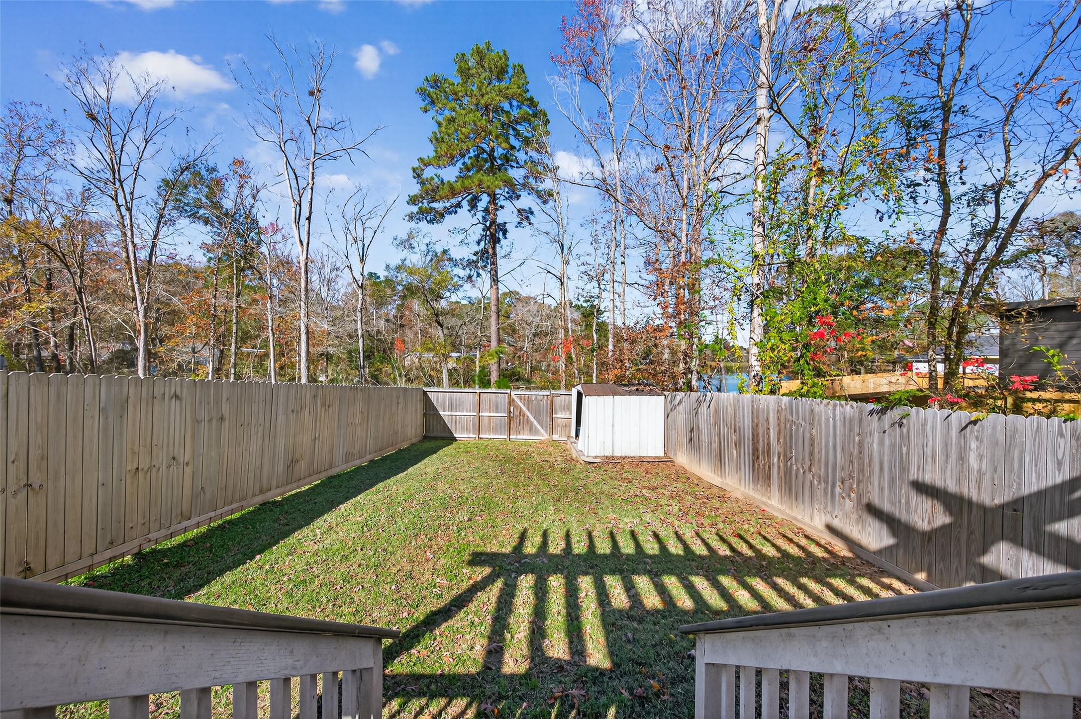 15149 Austin Road Willis, TX 77378 - Photo 28 of 31 a view of outdoor space yard and patio