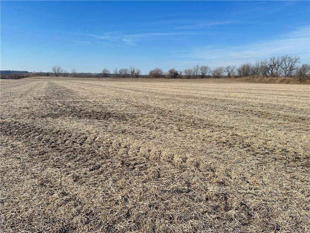 Atchison Holt Road Fairfax, MO 64446 - Photo 20 of 61