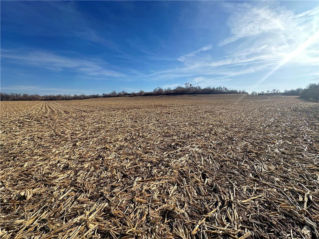 Atchison Holt Road Fairfax, MO 64446 - Photo 23 of 61