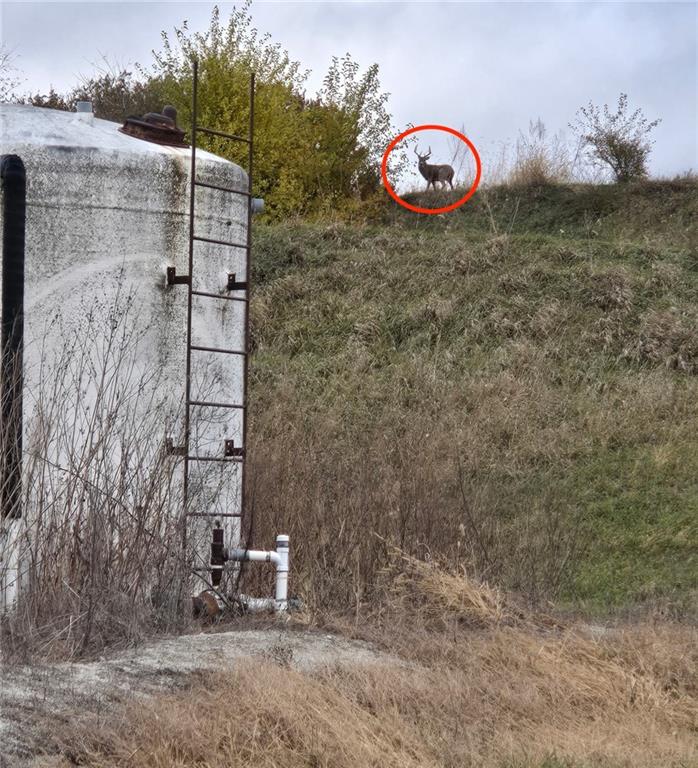 Atchison Holt Road Fairfax, MO 64446 - Photo 59 of 61