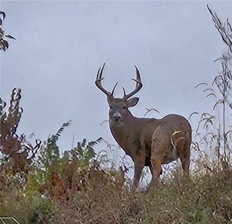 Atchison Holt Road Fairfax, MO 64446 - Photo 60 of 61