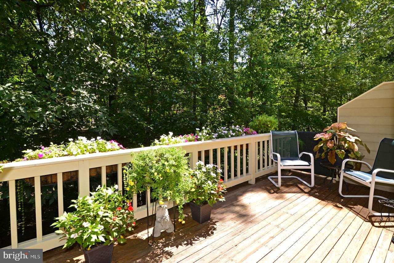 11518 Hemingway Drive Reston, VA 20194 - Photo 23 of 66 main level deck with amazing views part 3
