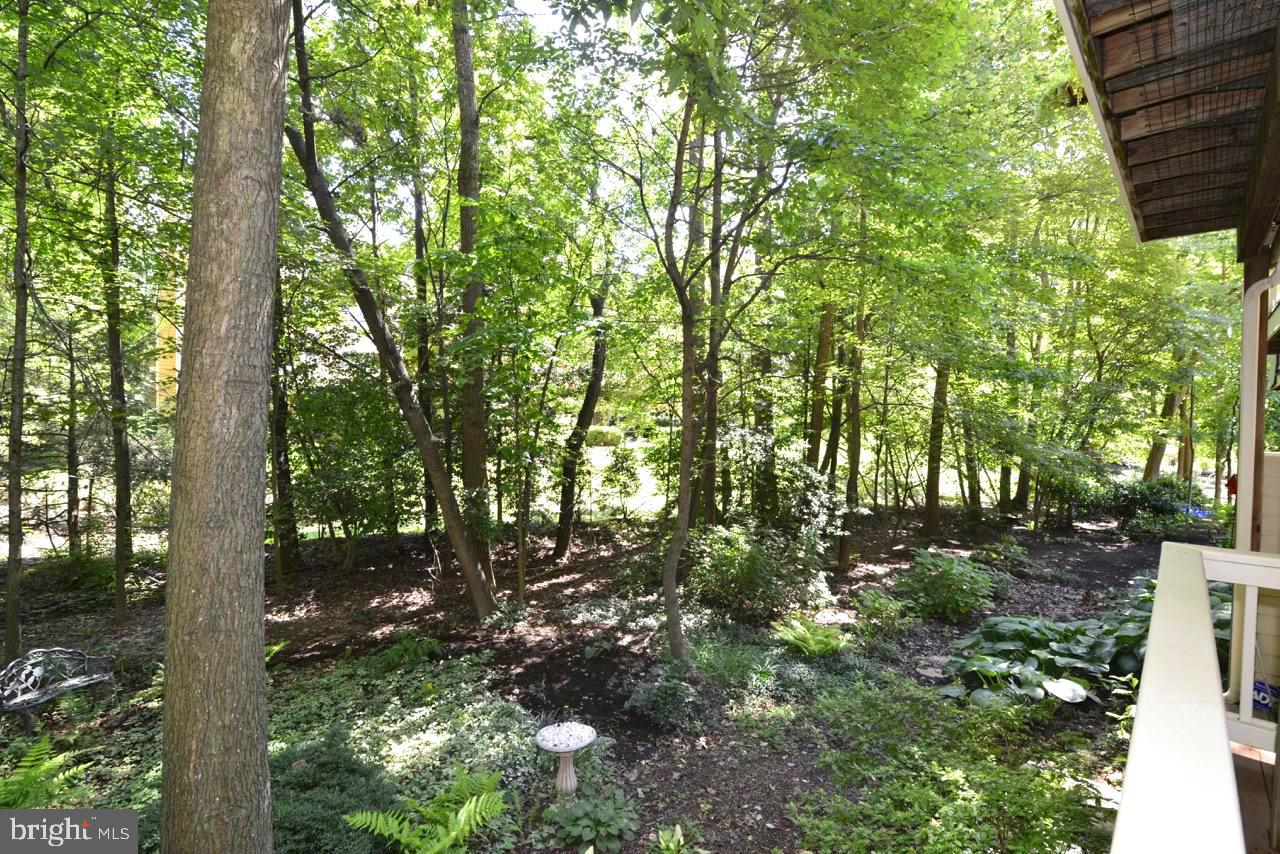 11518 Hemingway Drive Reston, VA 20194 - Photo 55 of 66 Your backyard leads to trails