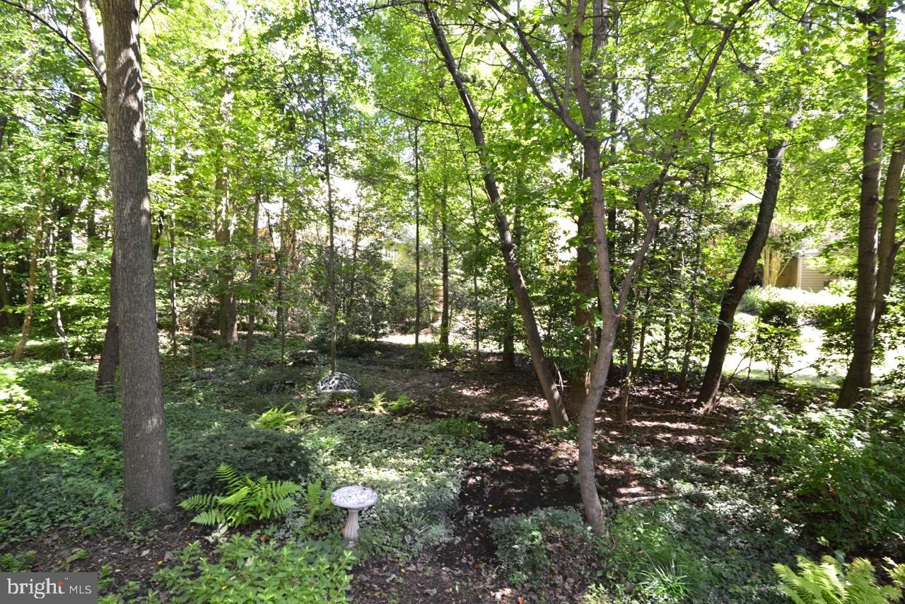 11518 Hemingway Drive Reston, VA 20194 - Photo 56 of 66 Your backyard leads to trails