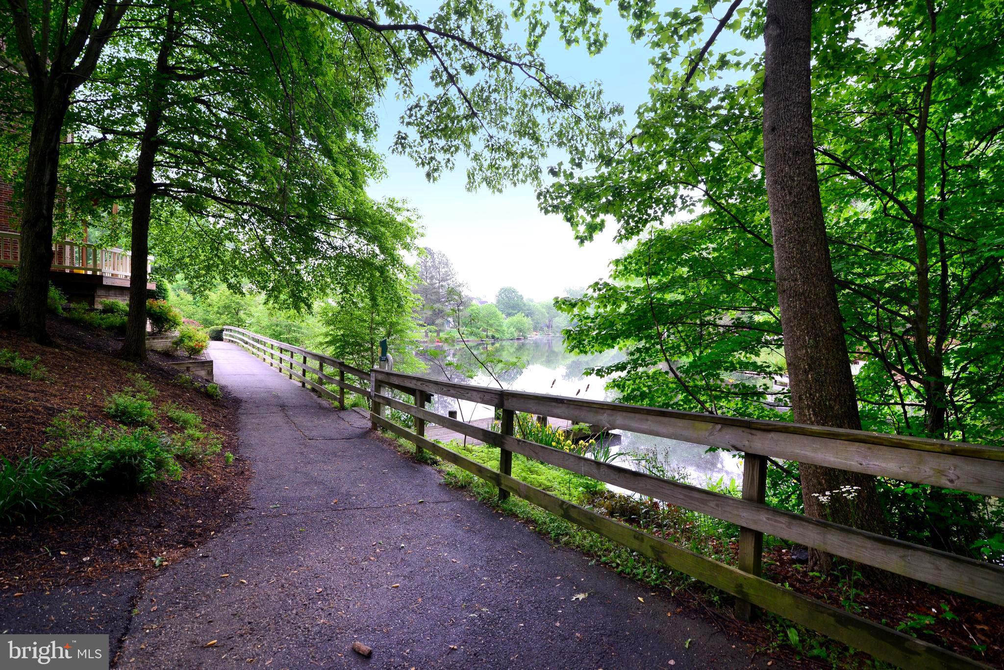 11518 Hemingway Drive Reston, VA 20194 - Photo 58 of 66 Enjoy private trails year round