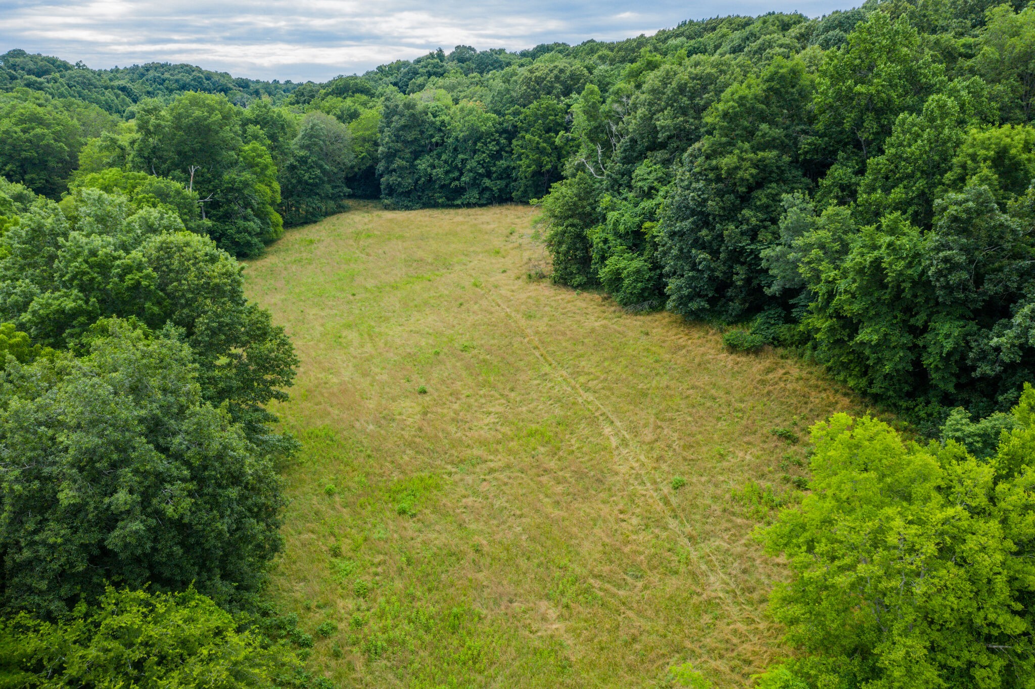 0 McAnally Road Mount Pleasant, TN 38474 - Photo 11 of 22 Gallery Image 11