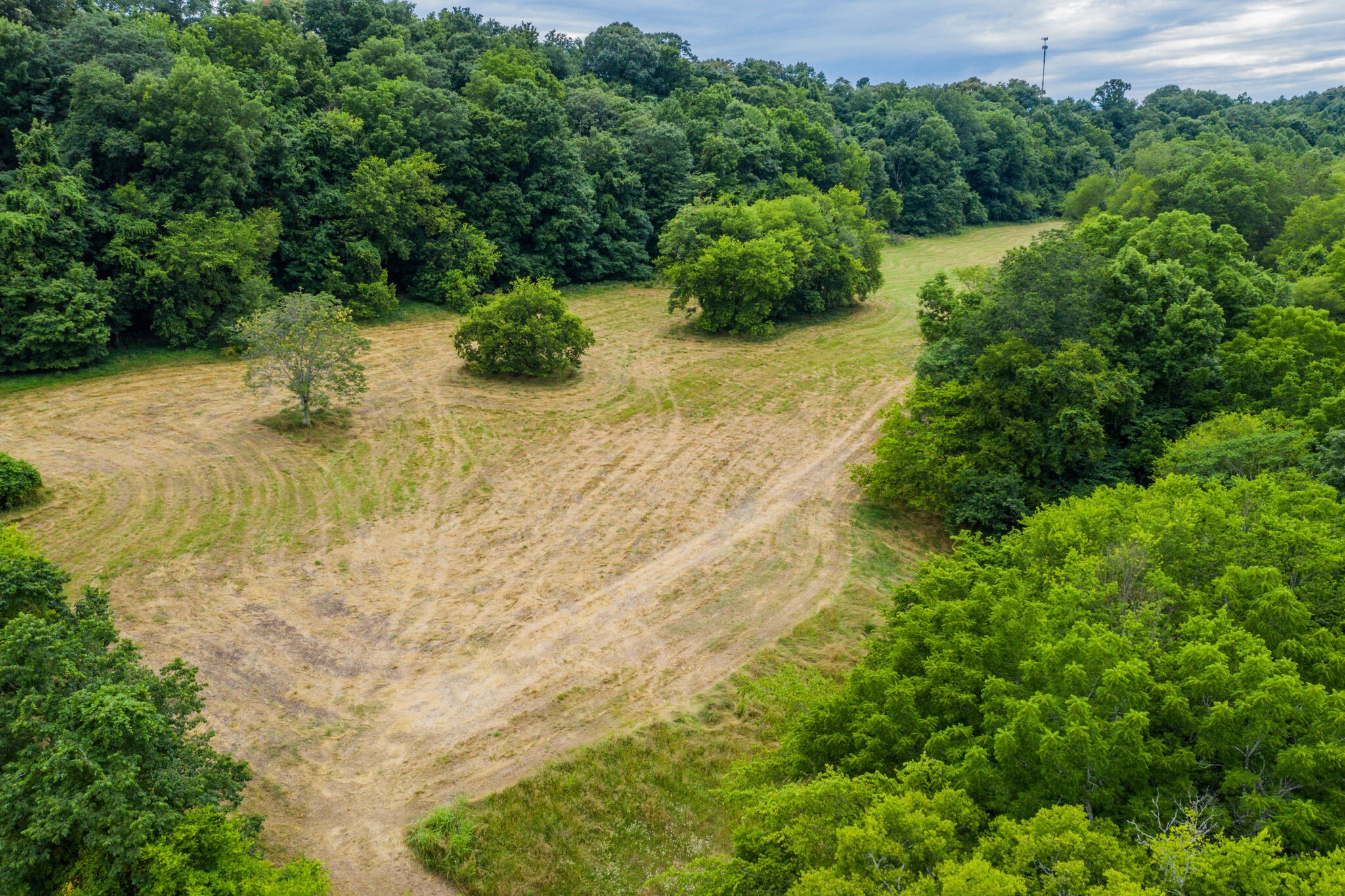 0 McAnally Road Mount Pleasant, TN 38474 - Photo 12 of 22 Gallery Image 12
