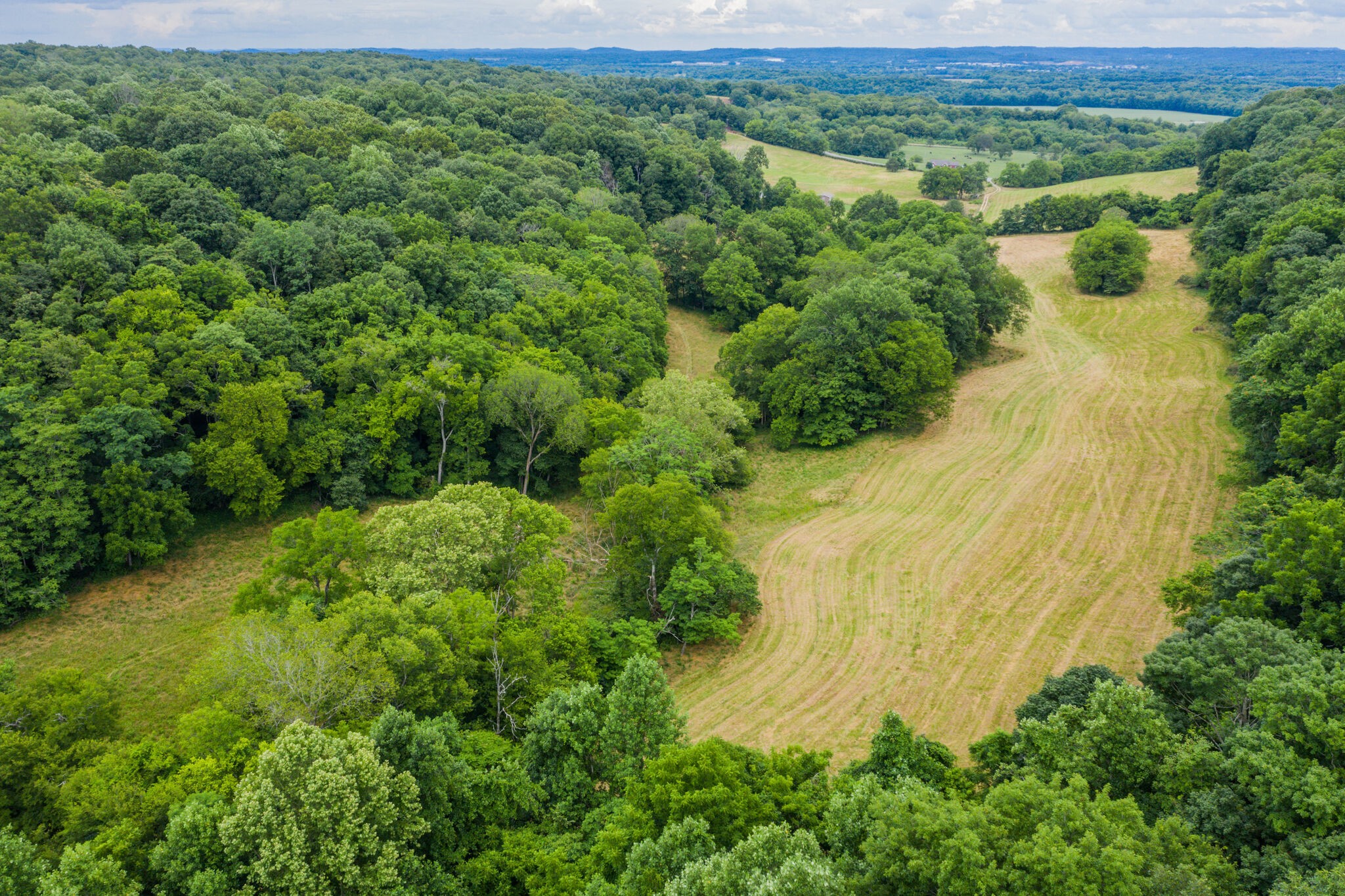 0 McAnally Road Mount Pleasant, TN 38474 - Photo 13 of 22 Gallery Image 13