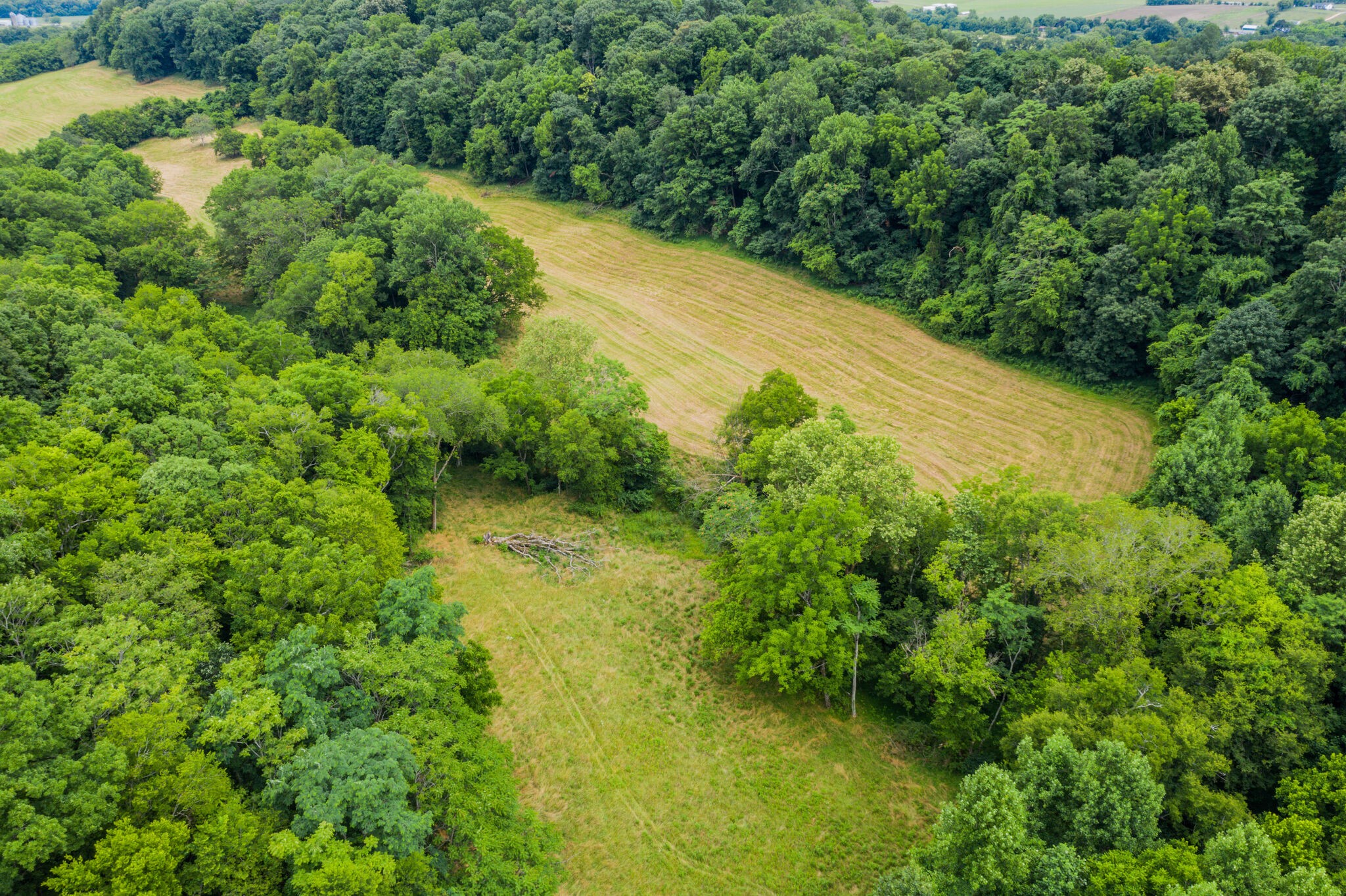 0 McAnally Road Mount Pleasant, TN 38474 - Photo 14 of 22 Gallery Image 14