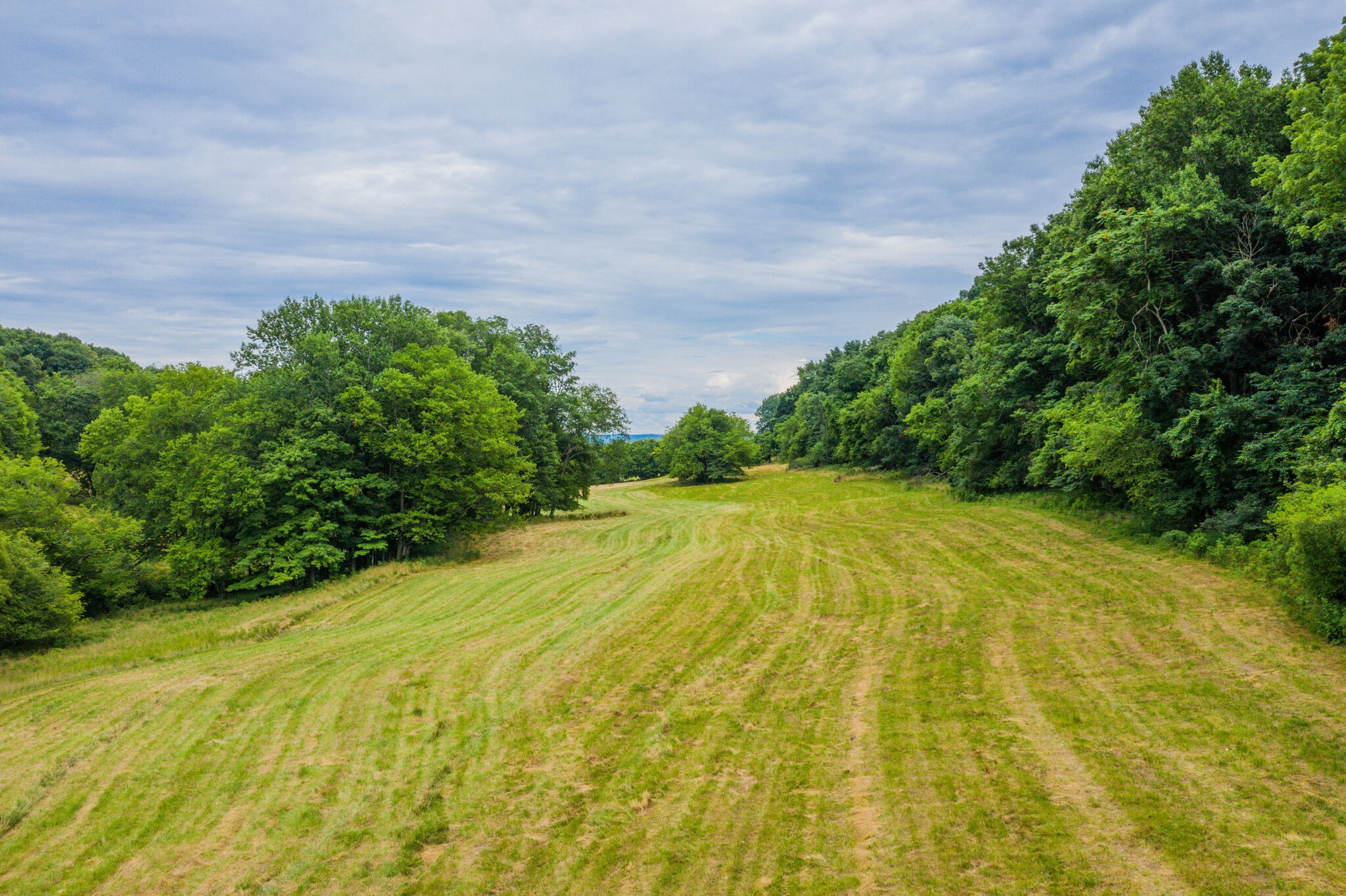 0 McAnally Road Mount Pleasant, TN 38474 - Photo 16 of 22 Gallery Image 16