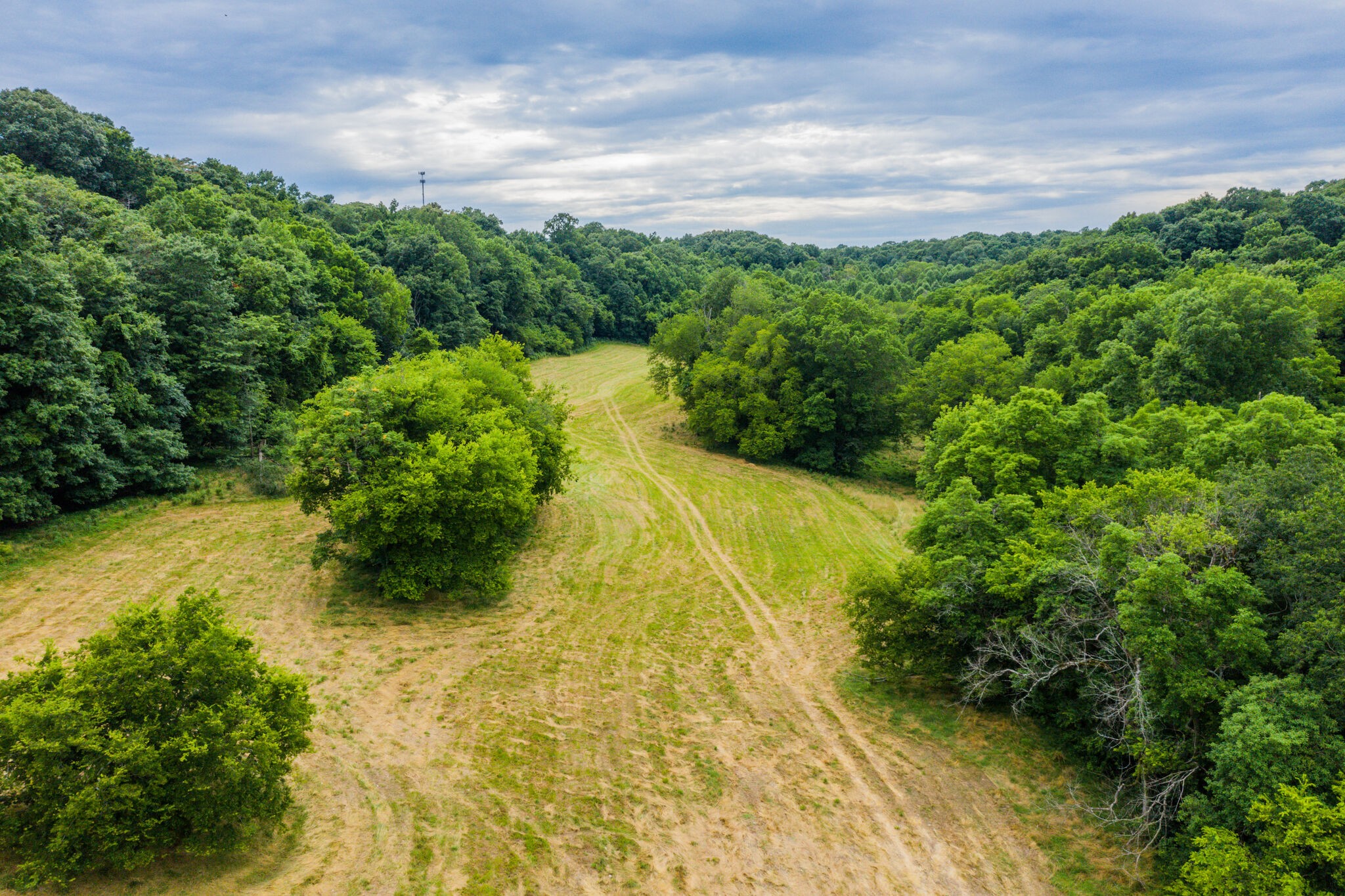 0 McAnally Road Mount Pleasant, TN 38474 - Photo 17 of 22 Gallery Image 17
