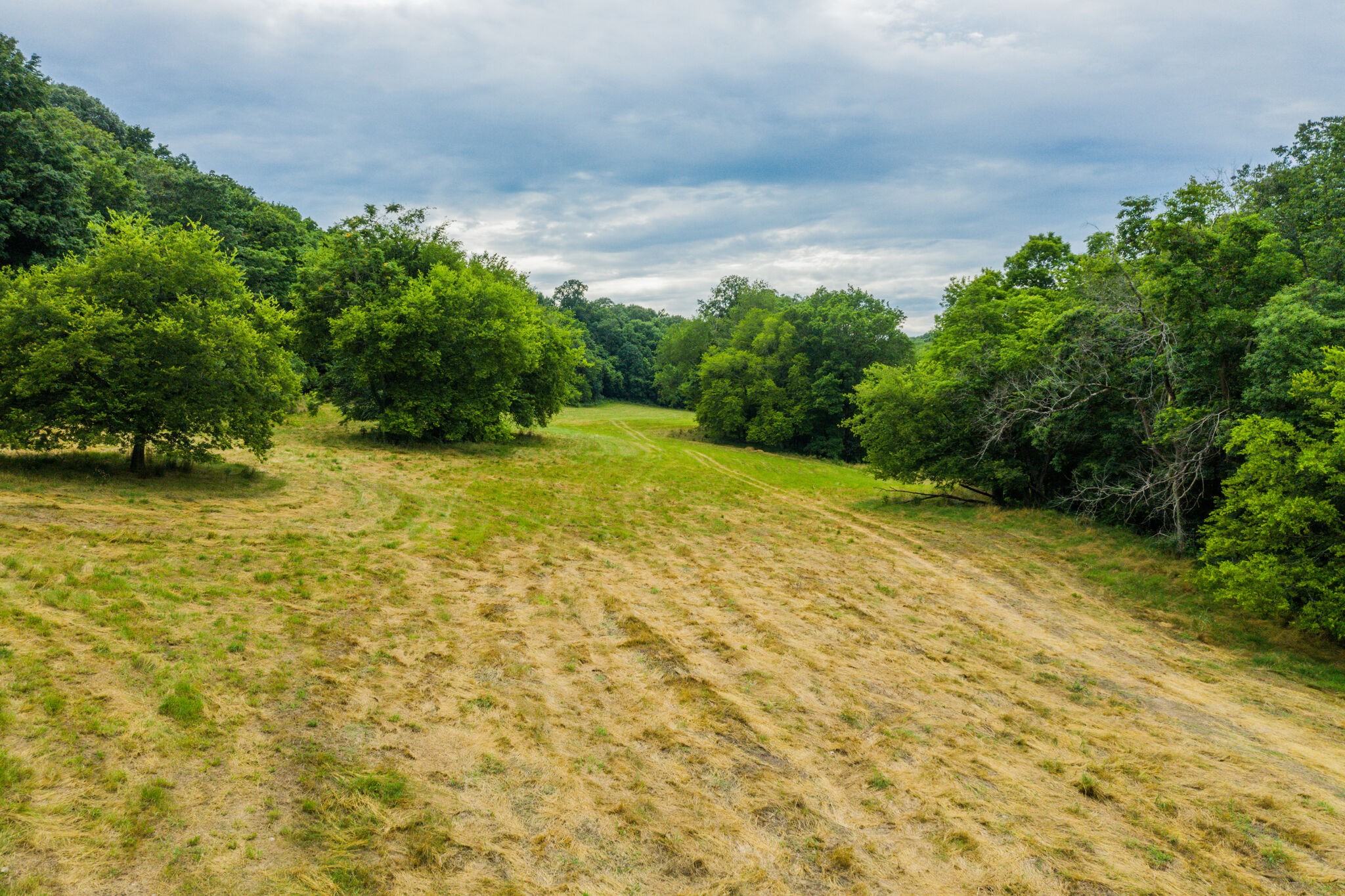 0 McAnally Road Mount Pleasant, TN 38474 - Photo 18 of 22 Gallery Image 18